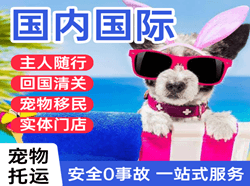 观音机场邮寄国际宠物托运 【国